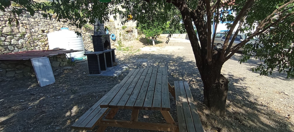 Photo 40