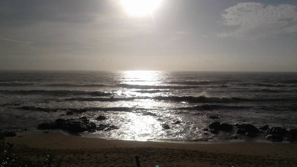 Photo 44