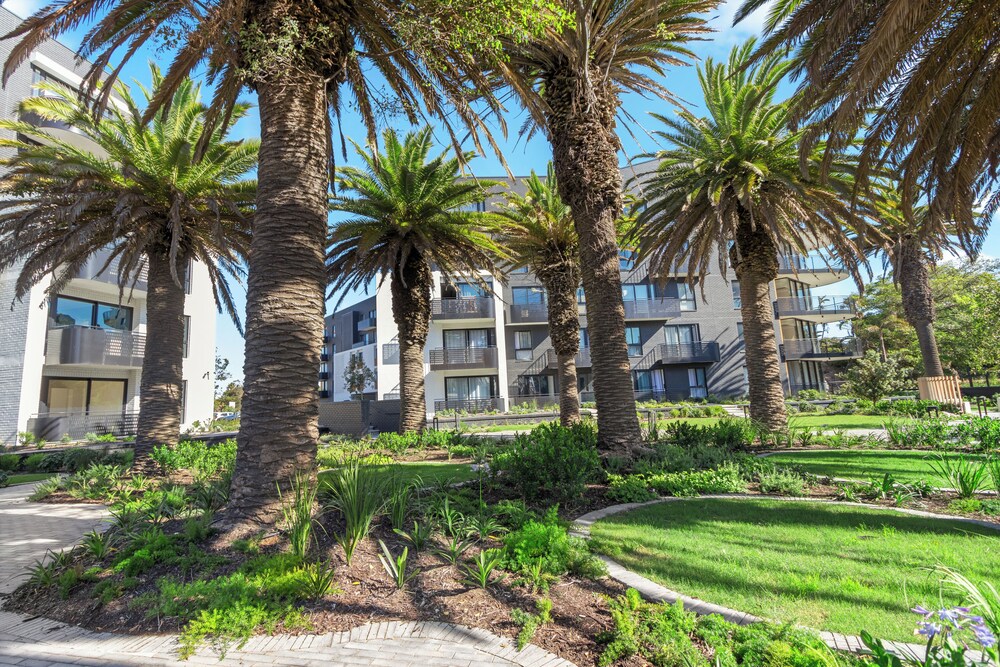 Nine Palms 211
