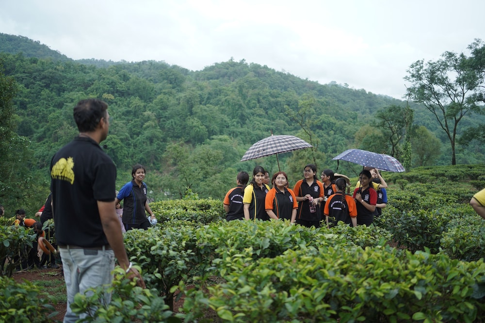 Amchong Park And resorts