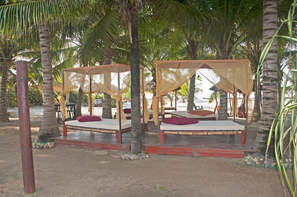 Bambuddha