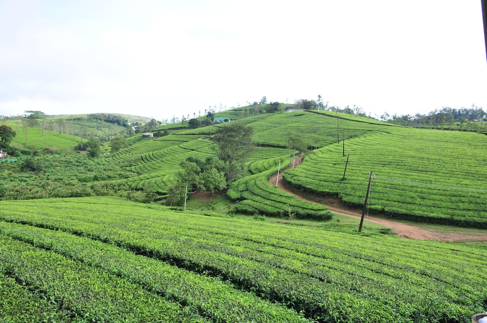 Kudaram County Resort