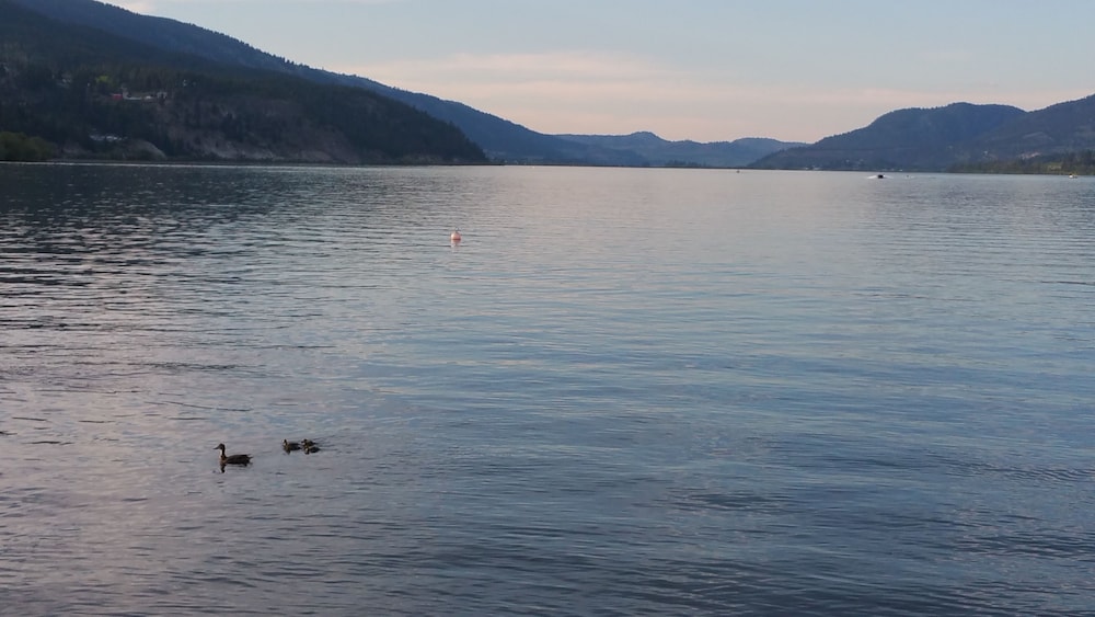 Kokanee Beach Resort Motel