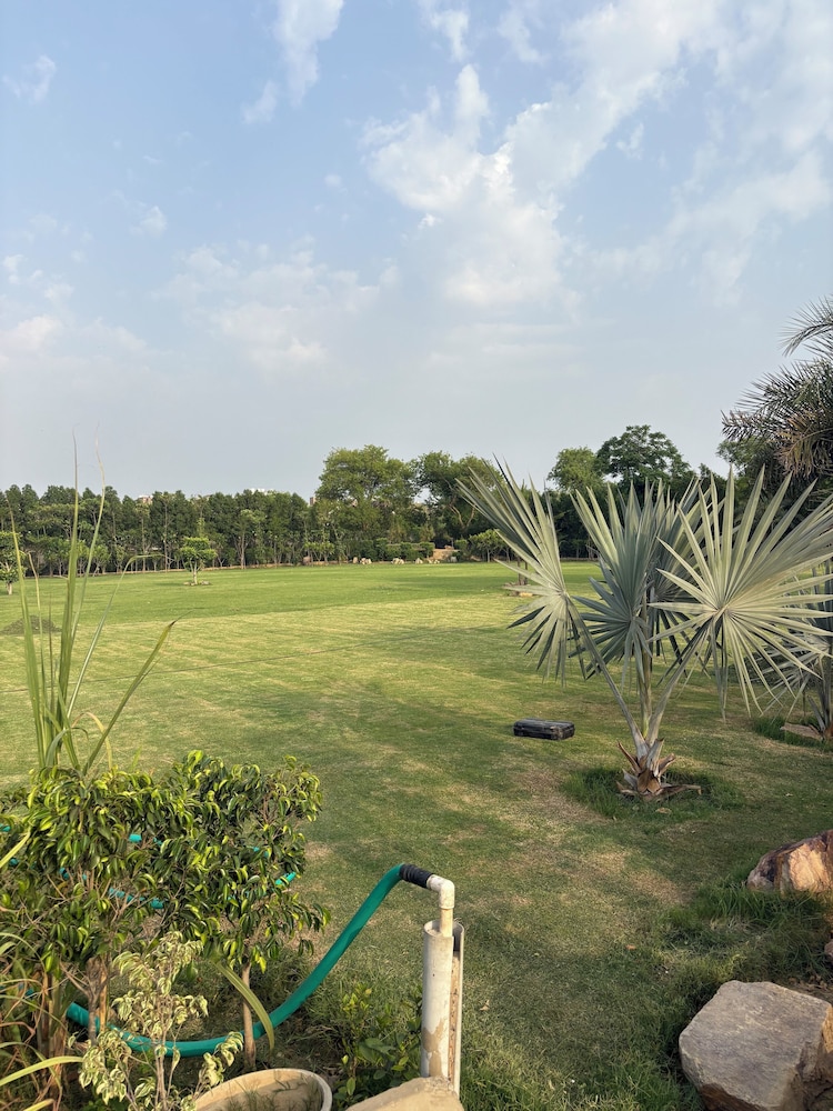 The Greenwood Farm And Lawn -Bijwasan