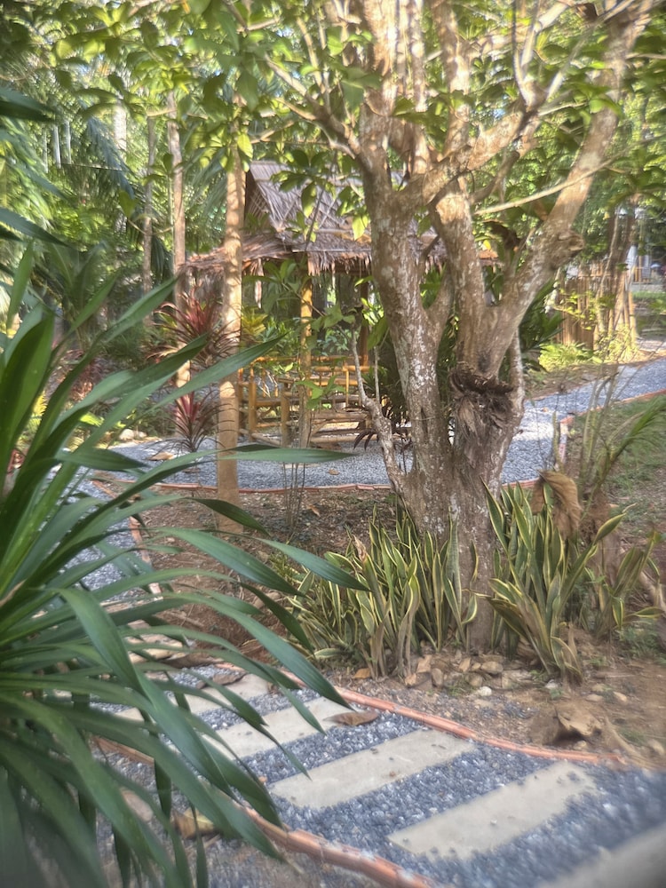 Echo Samadhi