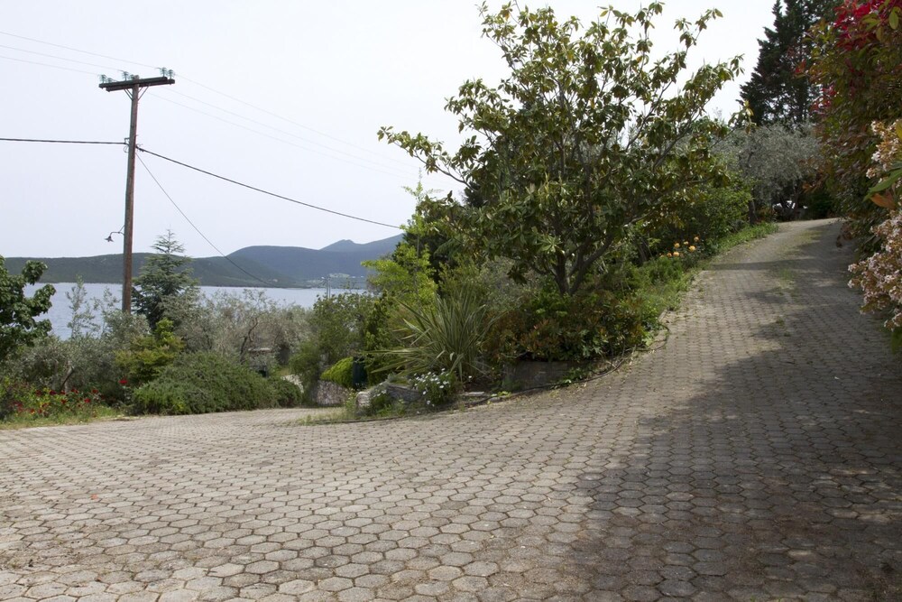 Photo 25