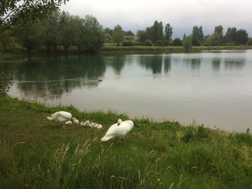 Domaine Mongiron