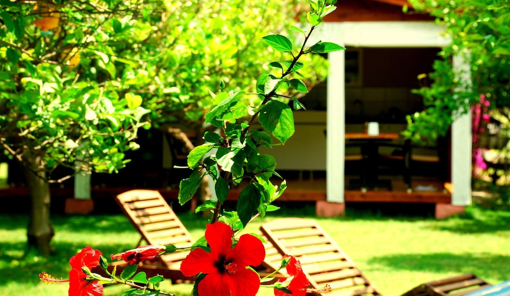 Baraka House Cirali