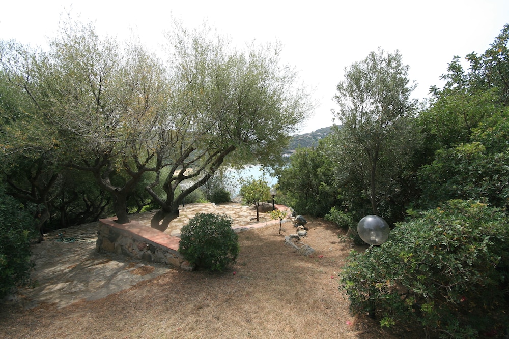 Photo 28