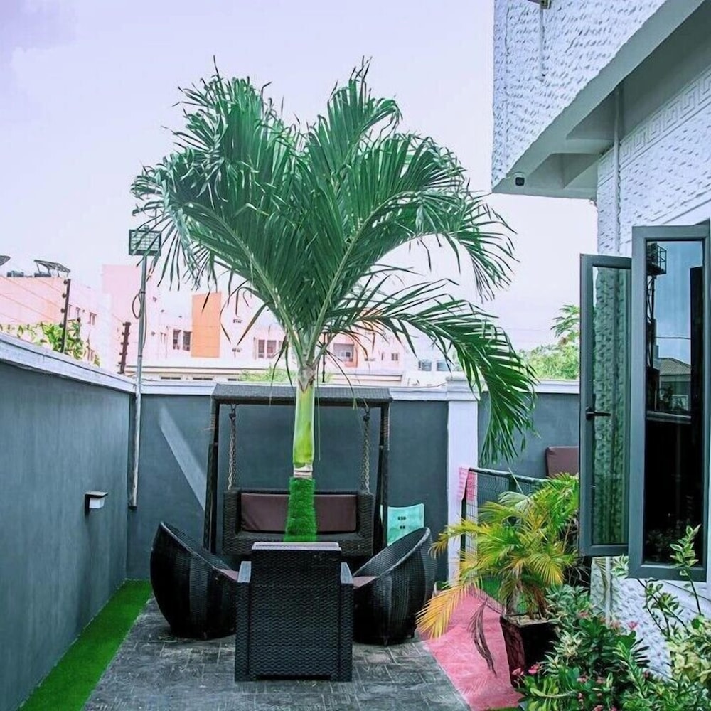 Kodeland Apartment