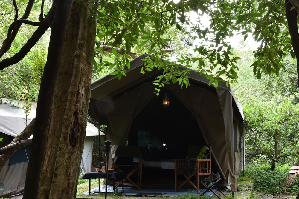 Explorer by Eco Team - Wasgamuwa National Park
