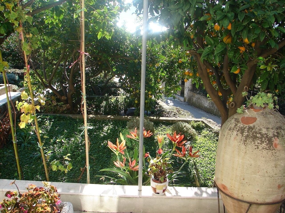 Photo 27