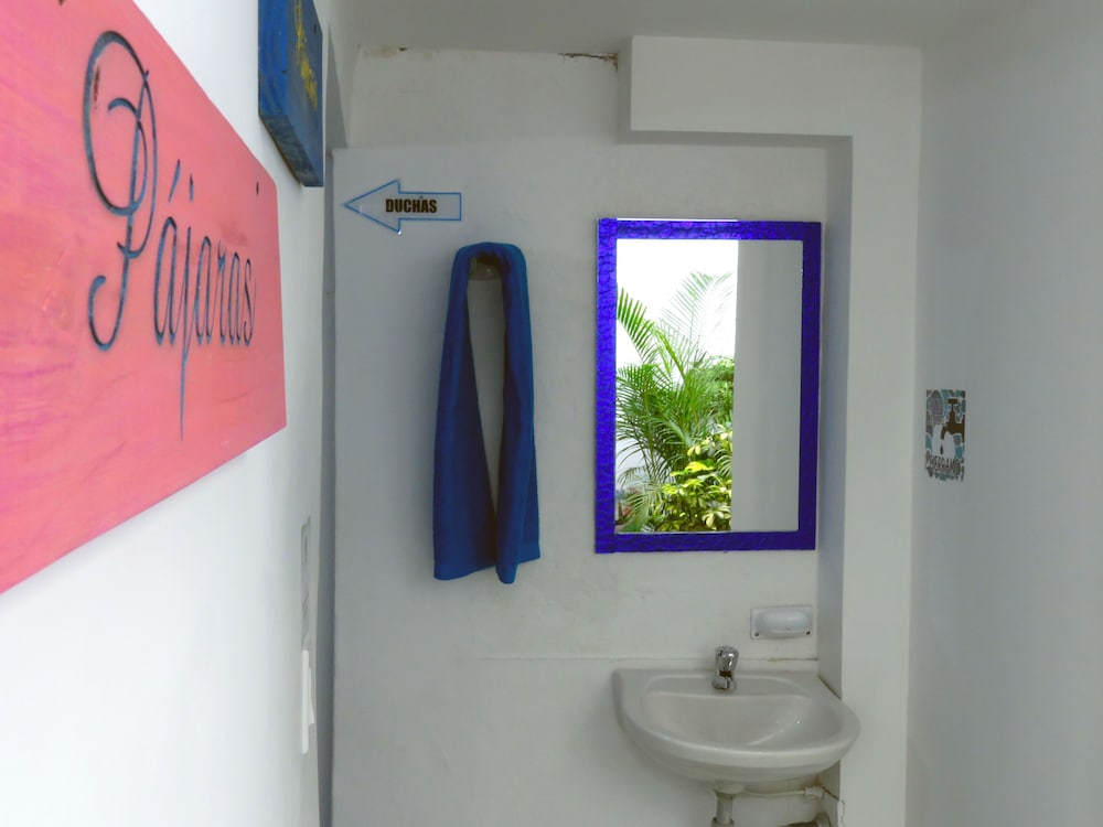 Hostal Pajara Pinta - Hostel