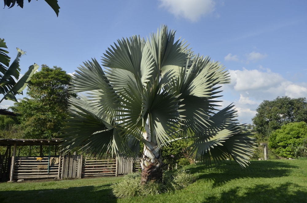 Finca Hotel La Rivera