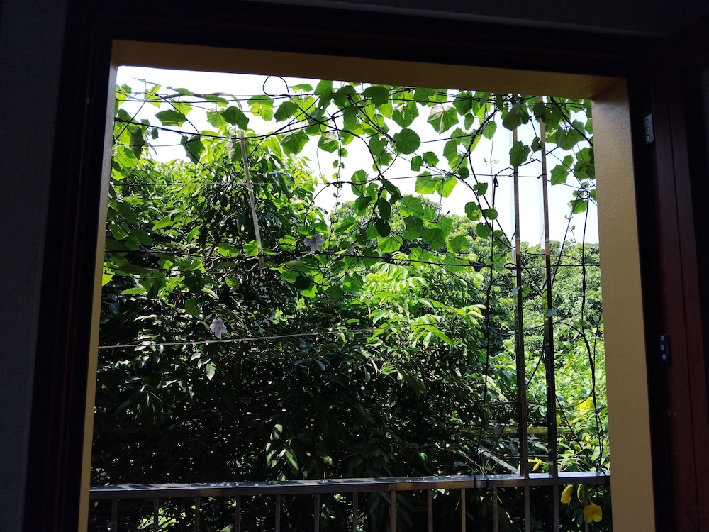 Green Space Homestay