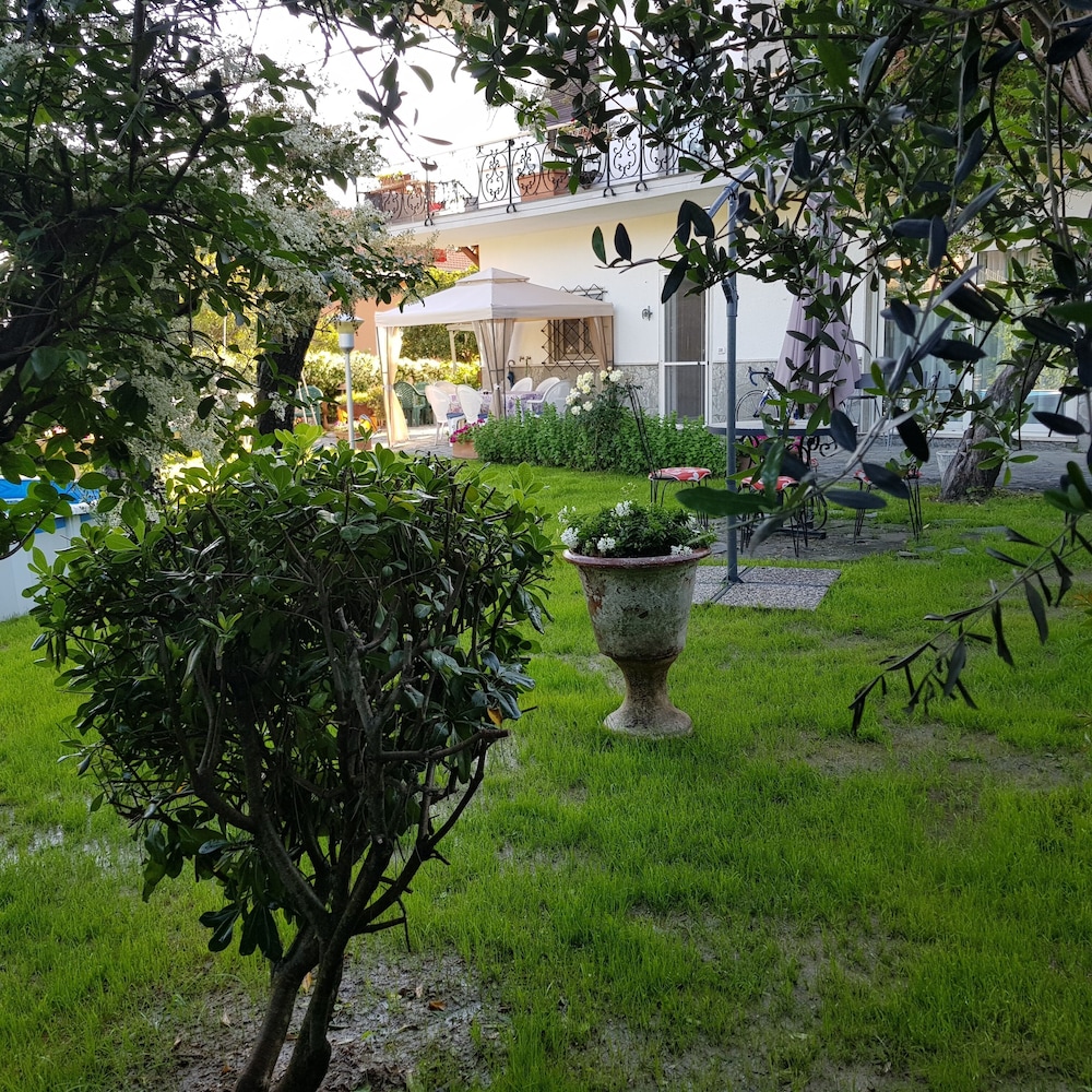 Photo 8