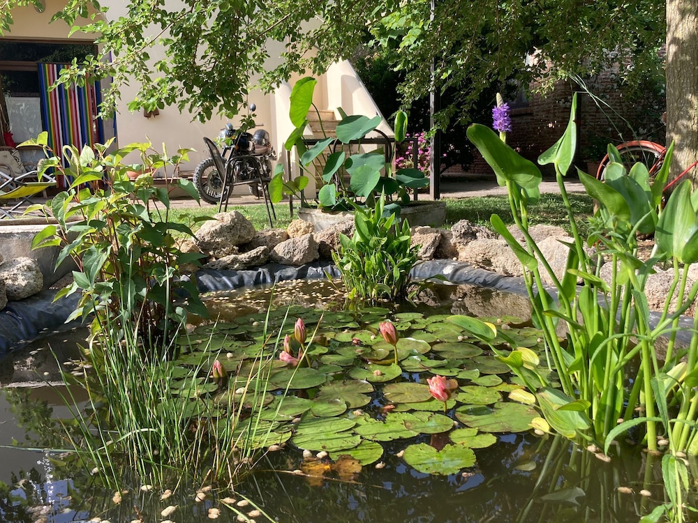 Casa del Geco
