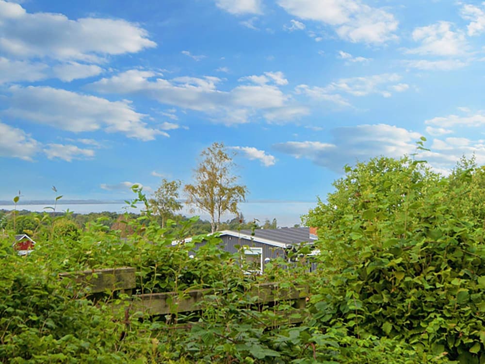 4 Person Holiday Home in Allingabro-by Traum view 4