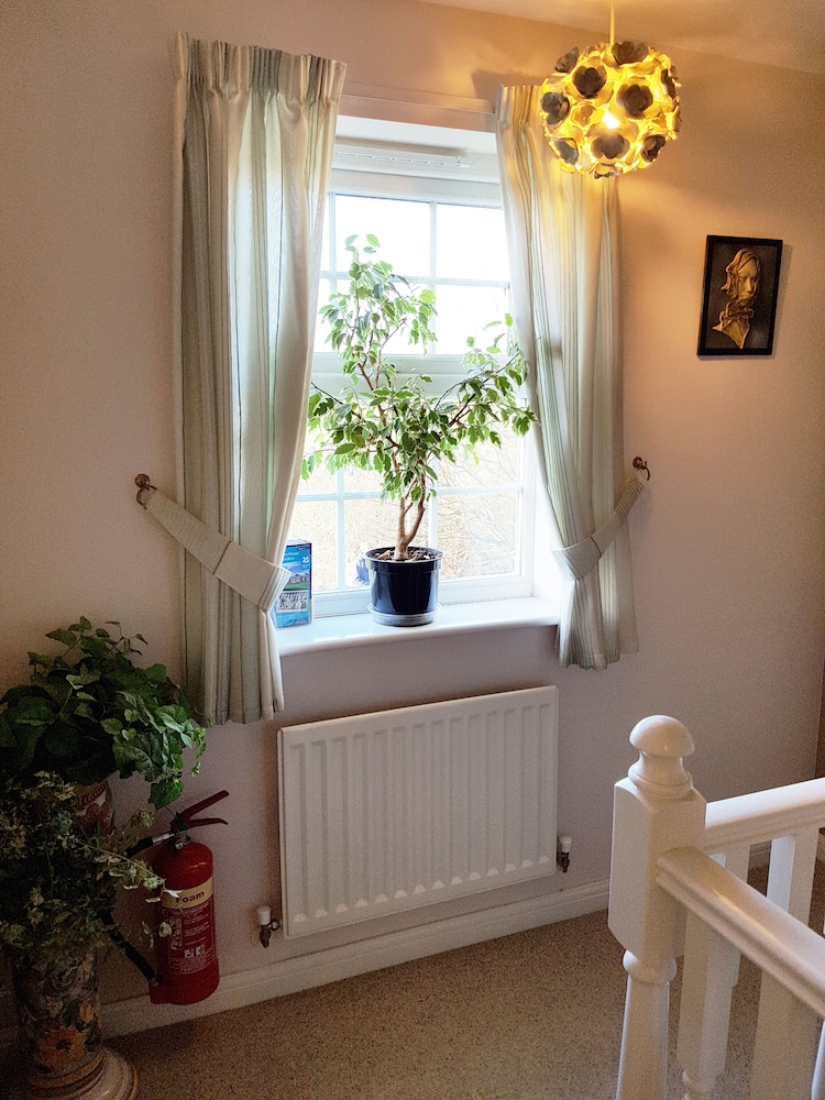 Photo 35