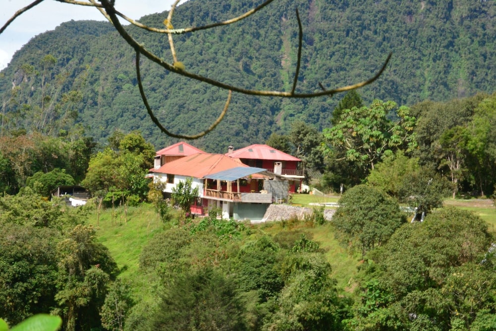 Rutun Orquídeas