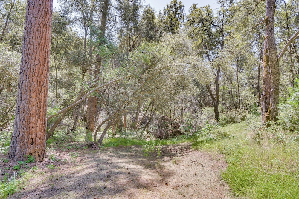 Hike, Boat & More: Cabin w/ Hot Tub in Ahwahnee!