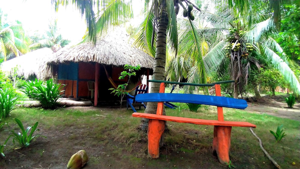 Photo 6