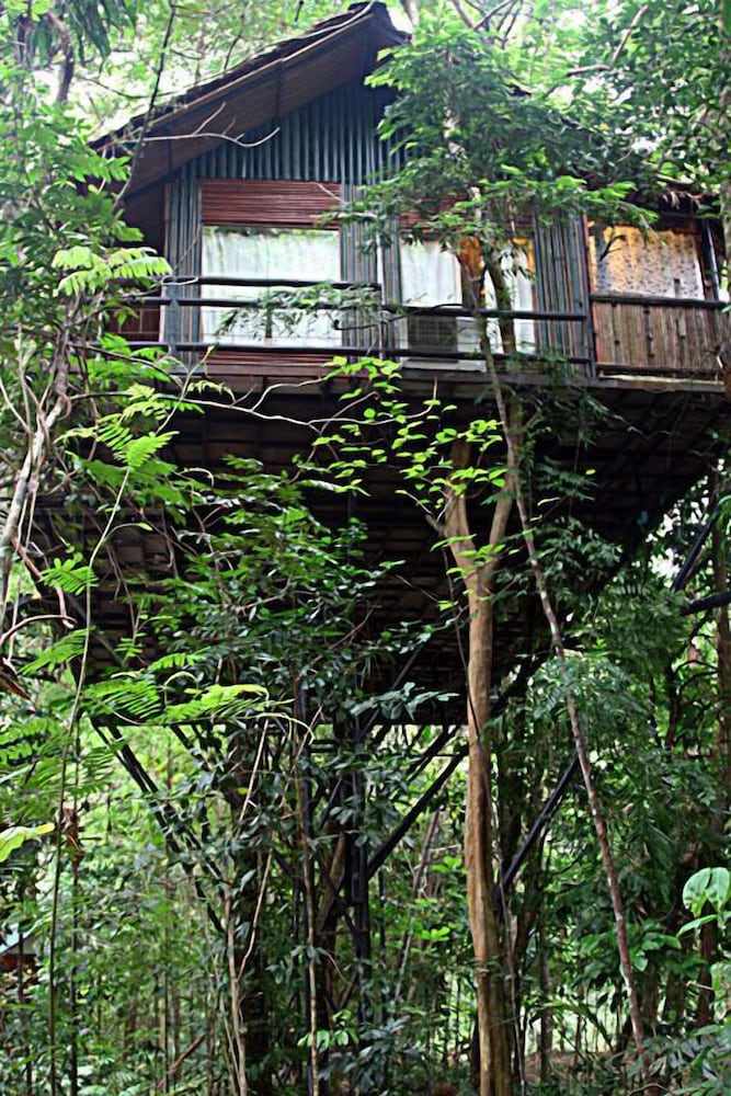 Khao Sok Tree House