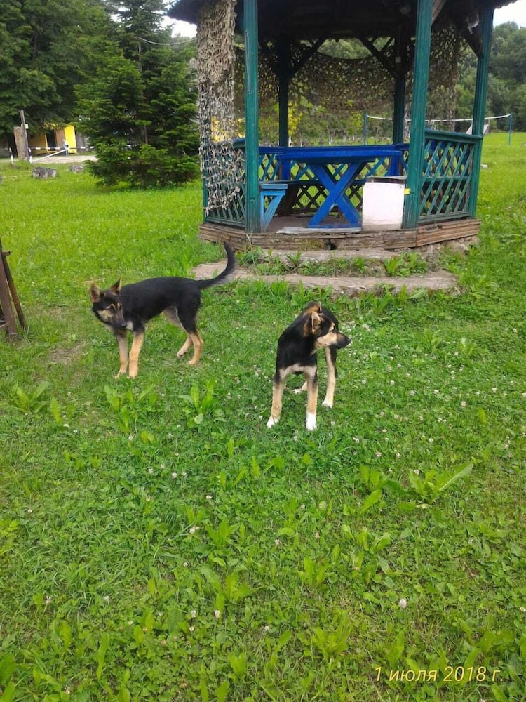 Turbaza Serebryany Klyuch