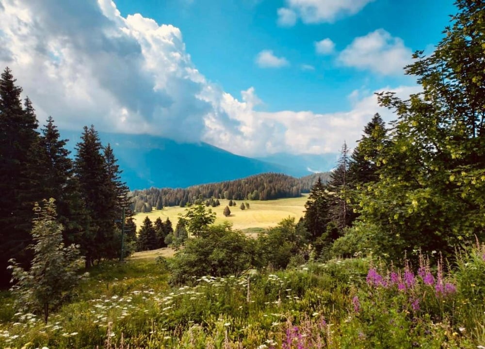 Alpine Comfort for Six Guests