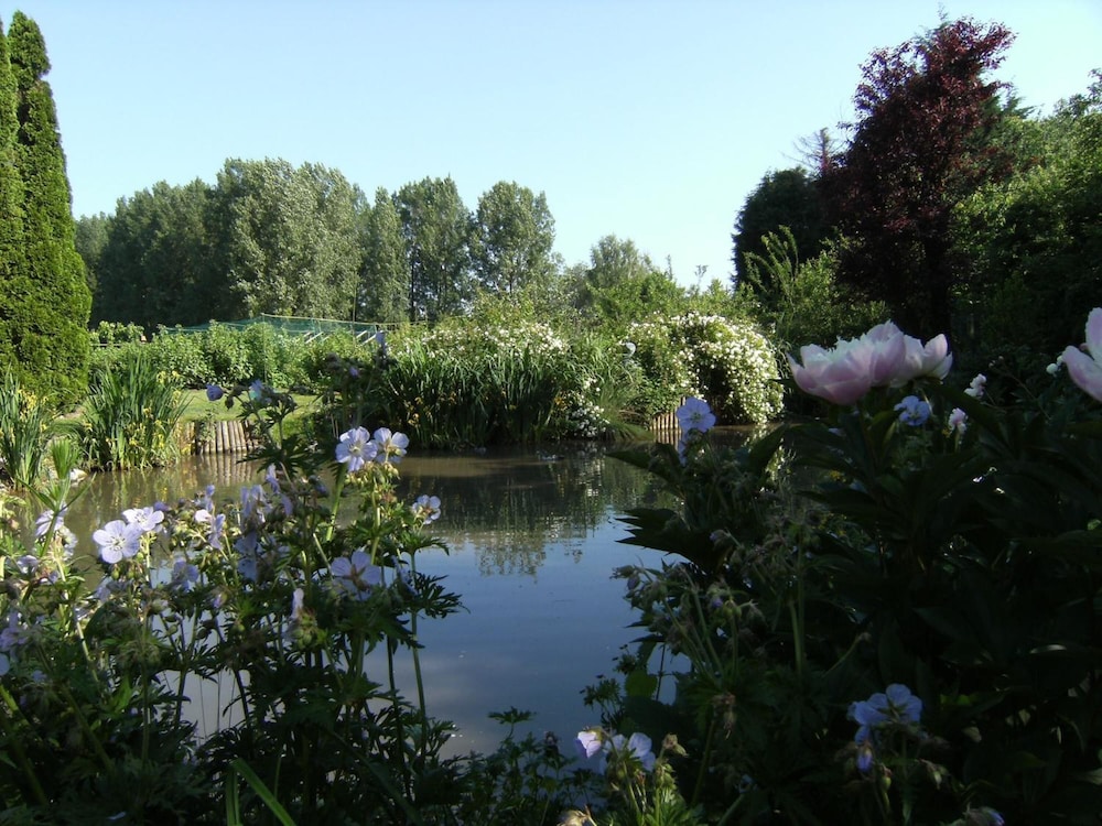 Photo 25
