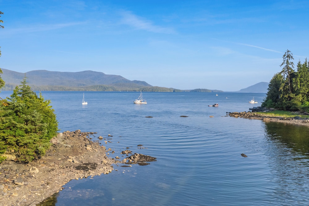 Salmon Return & Wildlife Roam: Ketchikan Getaway!