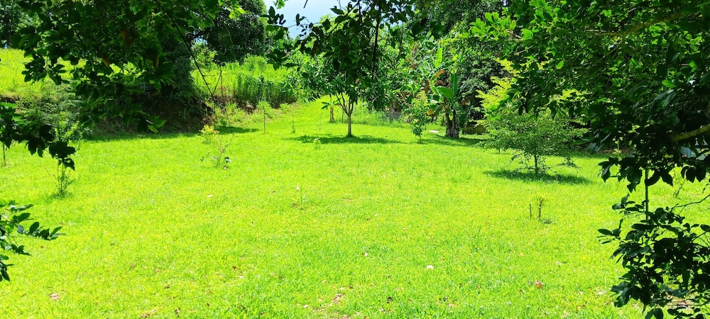 Dressrosa Guest house