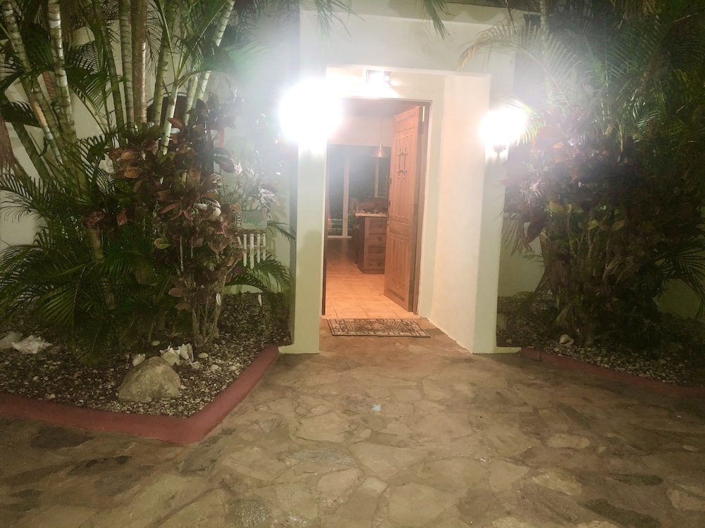 Photo 46