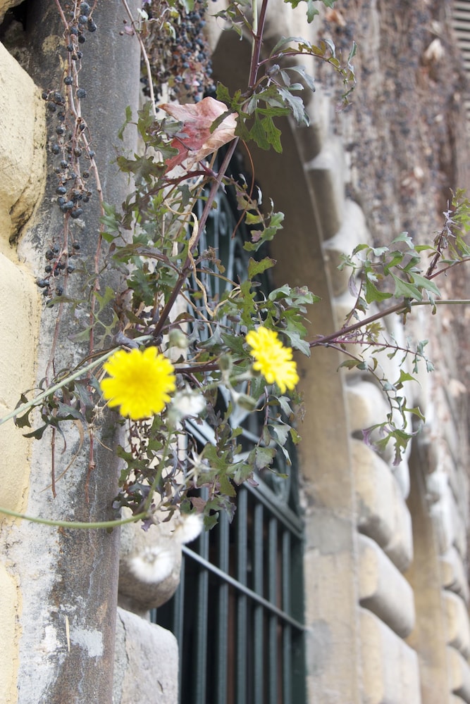 Fori Romani B&B