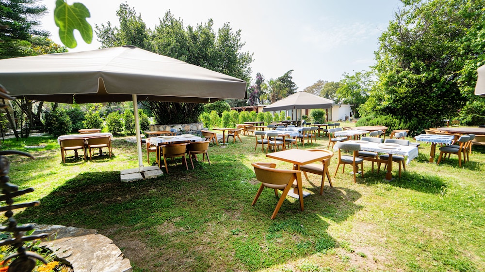 Almina Garden Butik - Yetişkinler İçin - Image 28