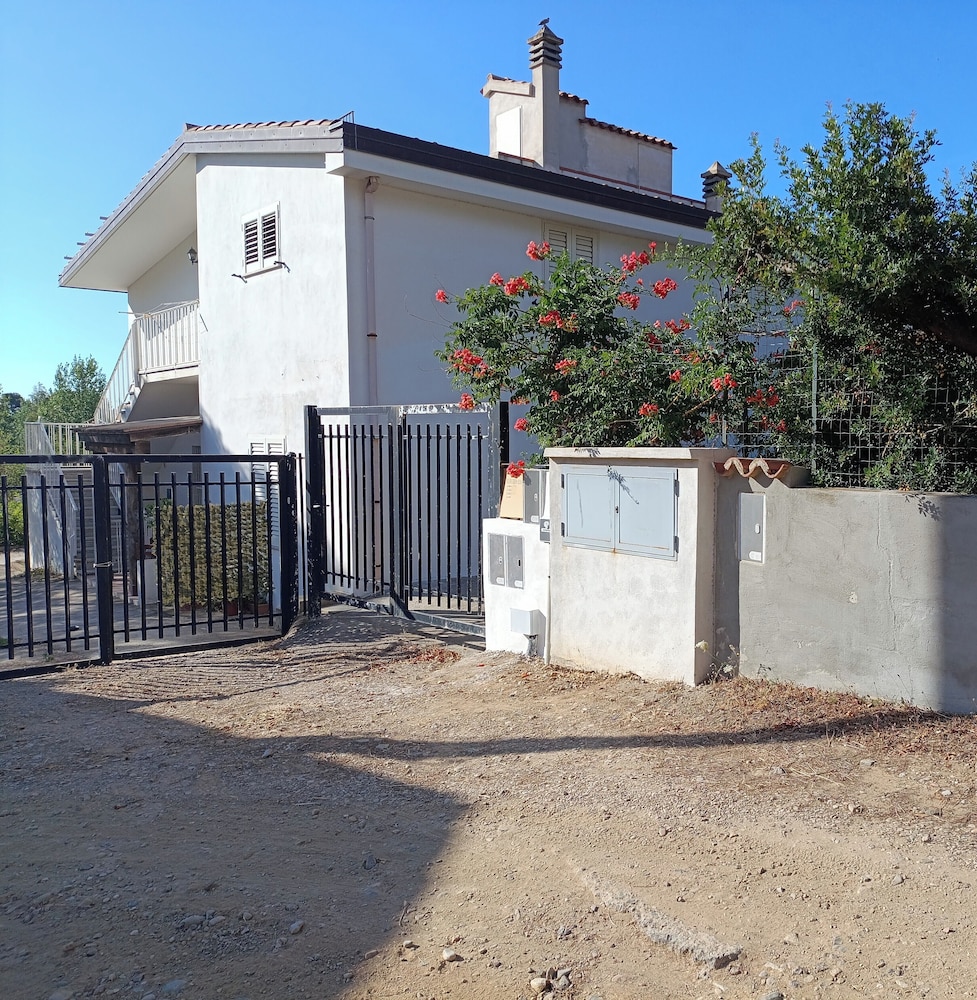 Photo 38