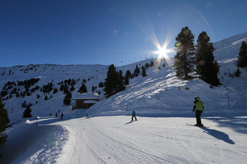 Chalet in Wildkogel With Ski-in/ski-out