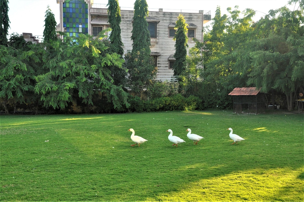 Alcor Kumbhalgarh – the family getaway