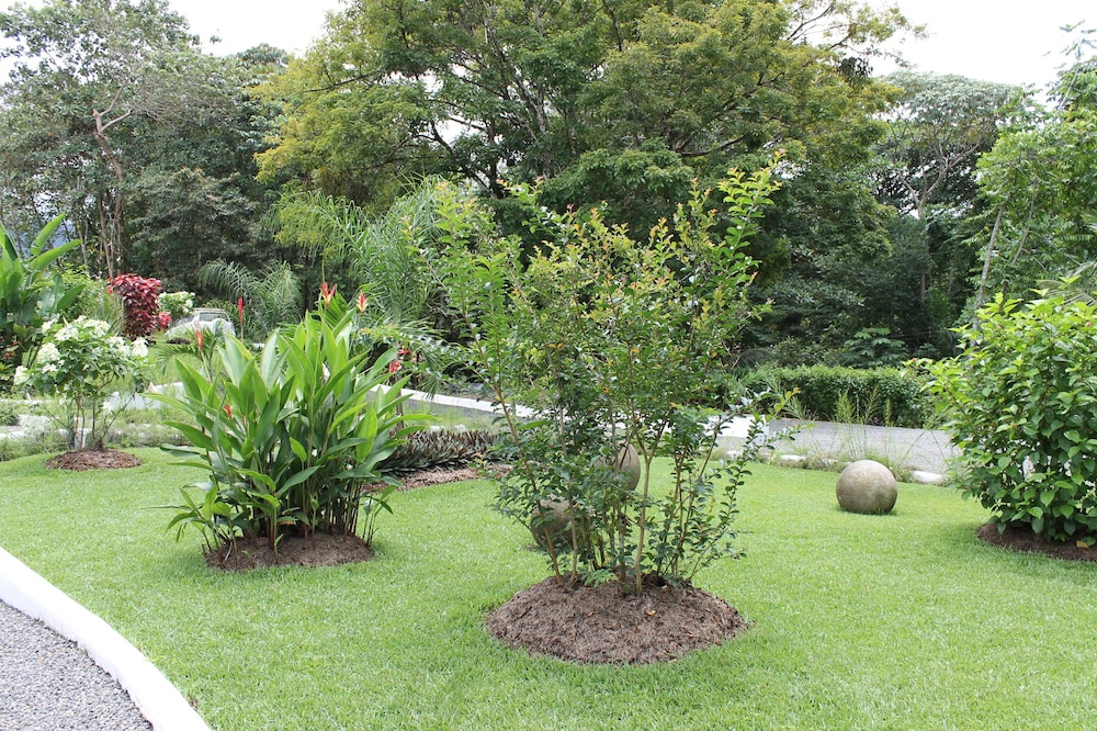 Photo 42