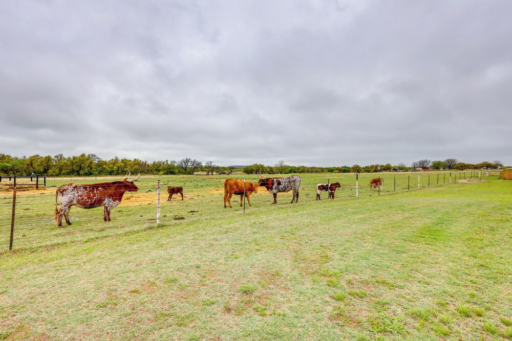 Bunkhouse on Working Texas Ranch w/ Horses & Cows!
