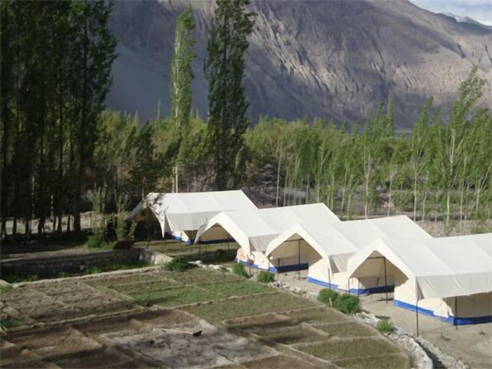 Double Humped Camp - Hunder
