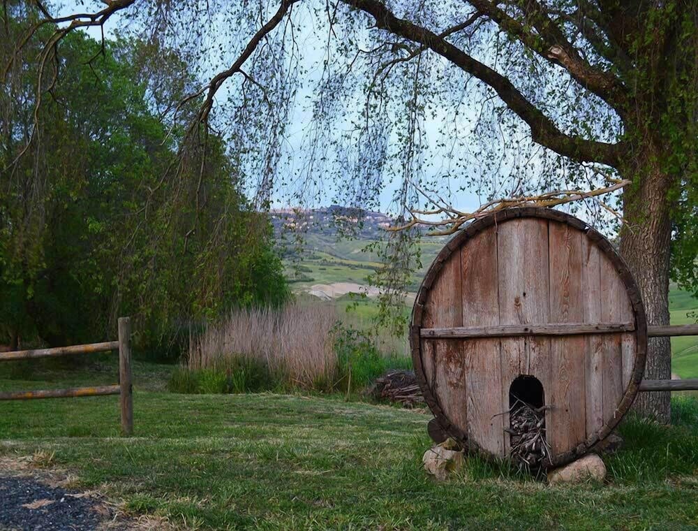 Agriturismo Casa All'Olmo