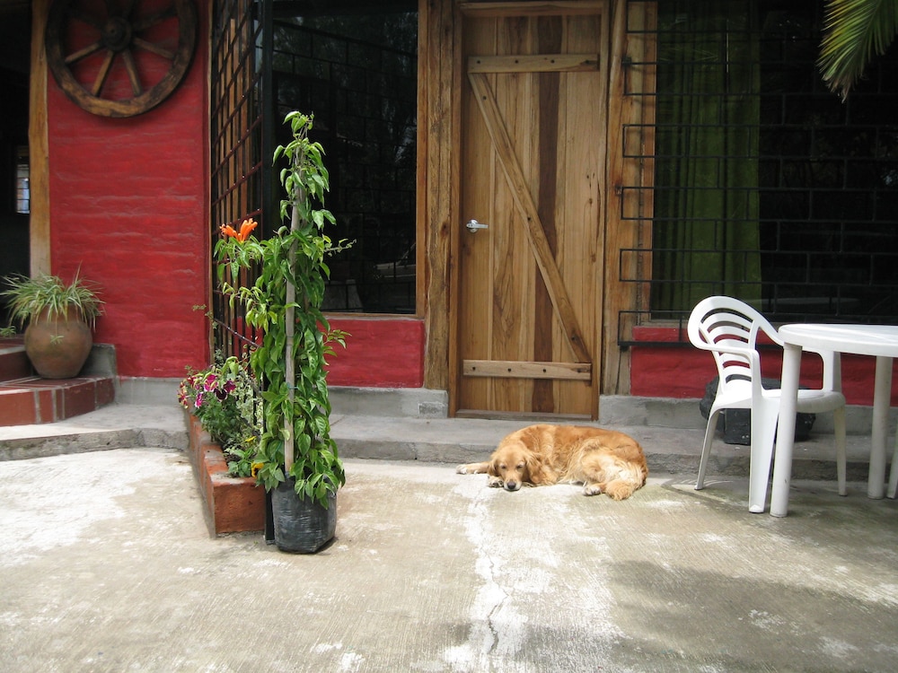 Arie s Cabin