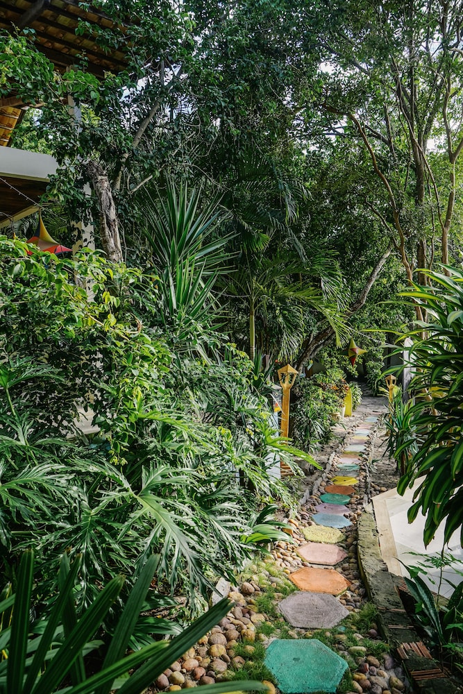 Macaco Surf House - Hostel