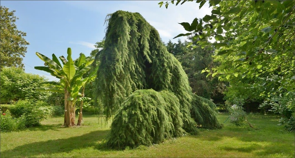 Gîte Domaine les Massiots