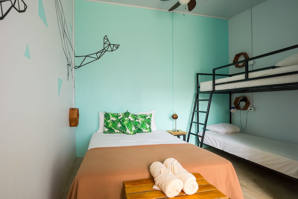 Selina Jaco - Hostel