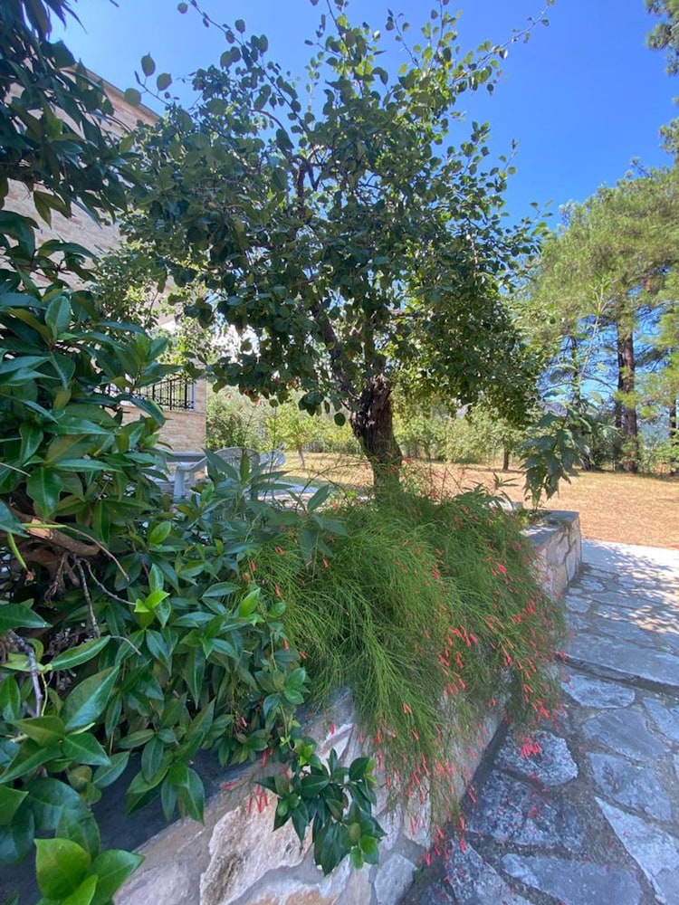 Anatoli Garden View - Cozy Thassos Getaway