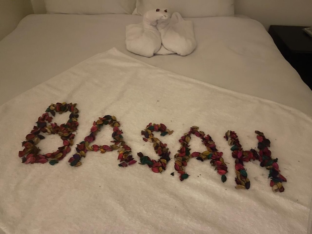 Basha Pyramids INN