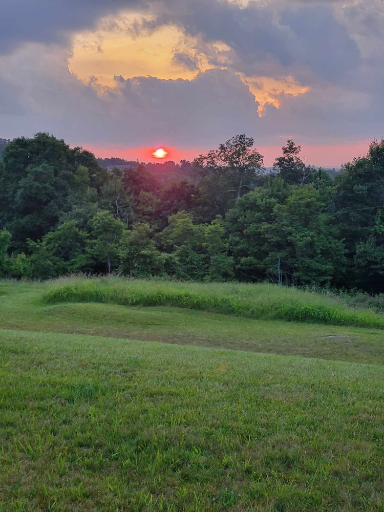 Photo 55