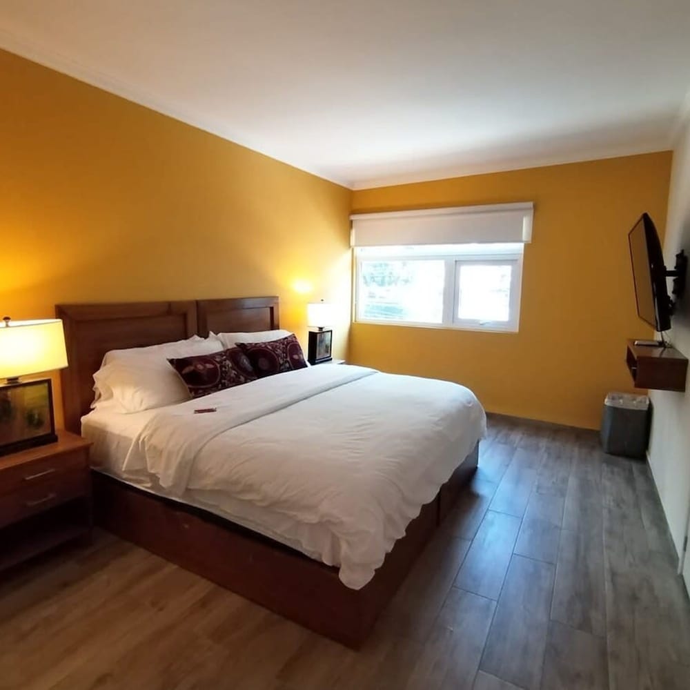 Arquimedes Patio I Luminous 1BR in Polanco